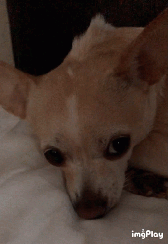Sad Eyes Sad GIF
