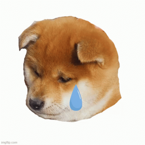 Sad Sad Puppy GIF