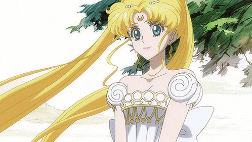 Sailor Moon Crystal Sailor Moon Ccrystal Season 1 GIF