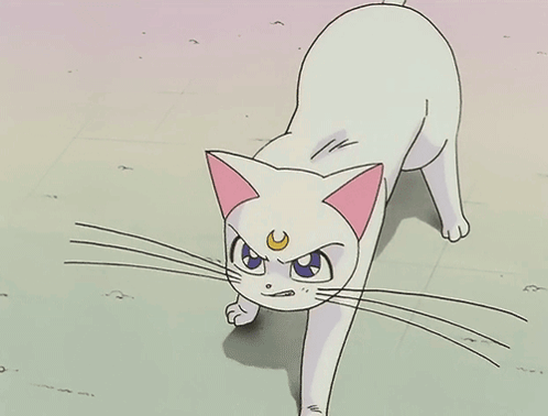 Sailor Moon White GIF