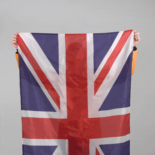 Sam Bird Union Jack GIF