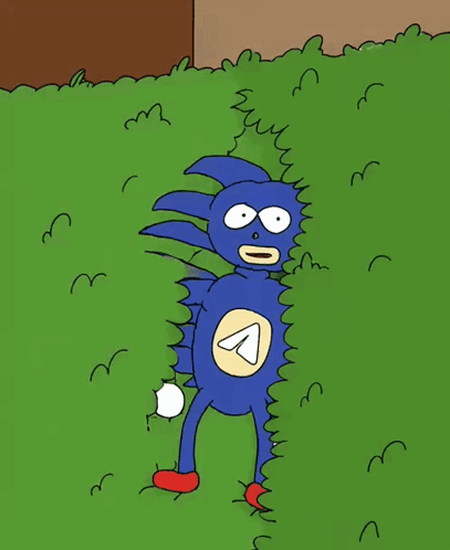 Sanic Sonic GIF