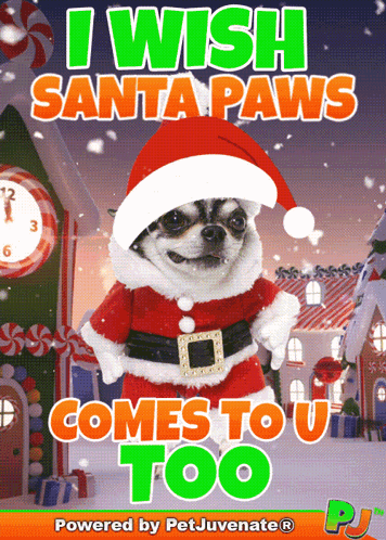 Santa Paws Pj Christmas Dog Gif Puppy Santa Doggo Funny Christmas Gif GIF