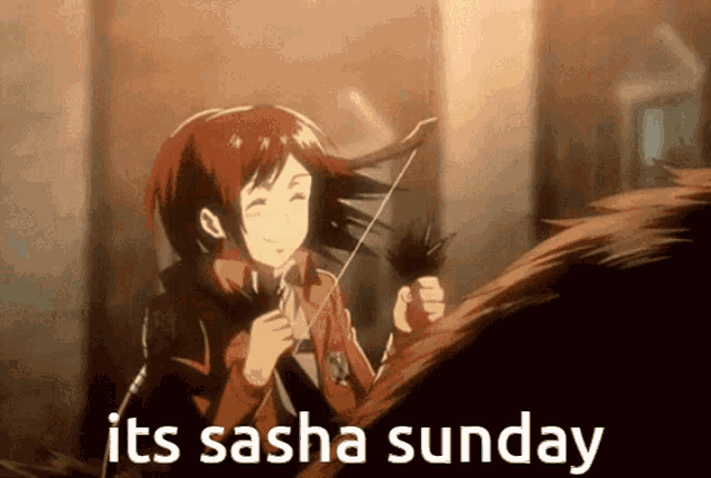 Sasha Attack On Titan GIF