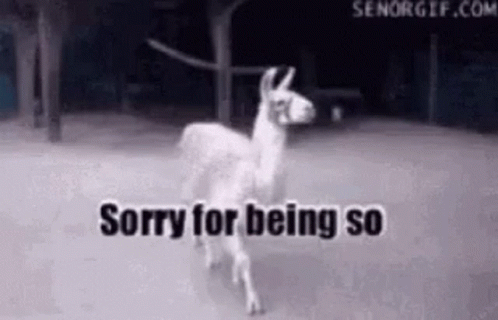 Sassy Funny GIF