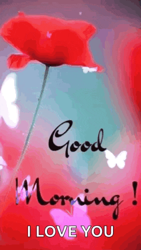 Saturday Blessings GIF