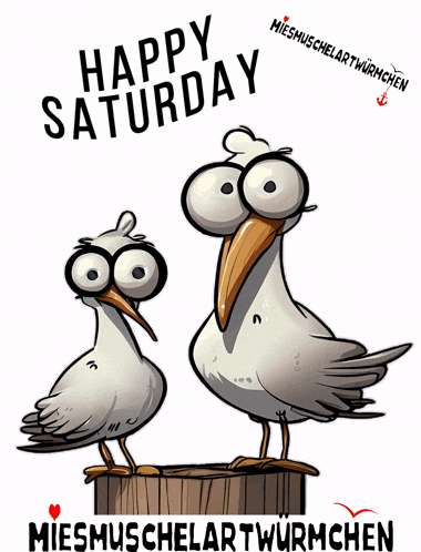 Saturday Caturday GIF