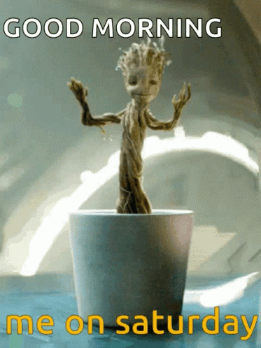 Saturday Dance GIF