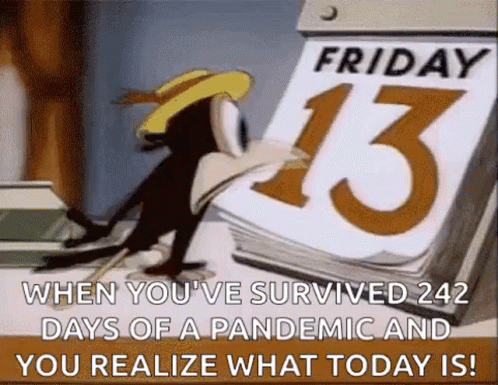 Scared Black Crow GIF