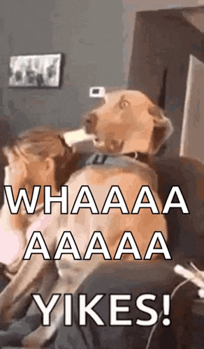 Scared GIF