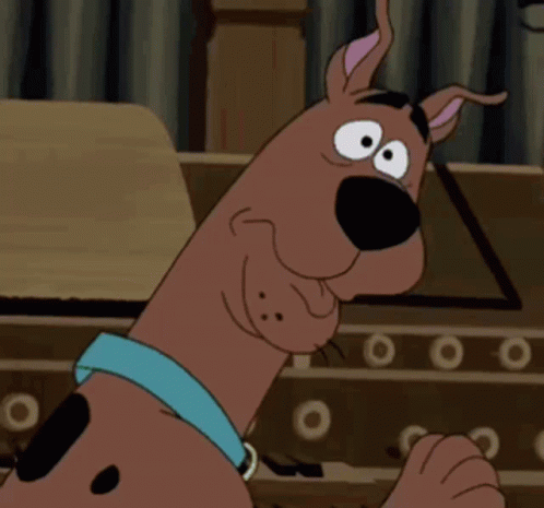 Scooby Doo Guess Who GIF