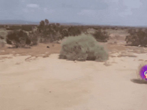 Scrapscruff Vtuber GIF