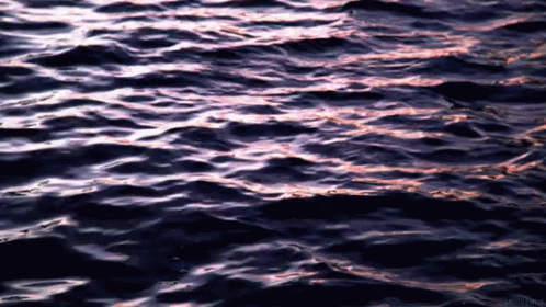 Sea Ocean GIF