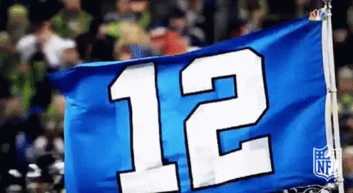 Seahawks Seattle GIF