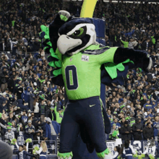 Seattle Seahawks Mascot Go GIF