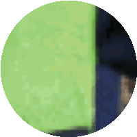 Seattle Seahawks Mascot Go Sticker