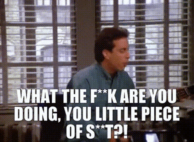 Seinfeld What The F Are You Doing GIF