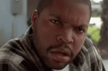 Seriously Wtf GIF