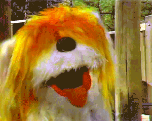 Sesame Street GIF
