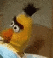 Sesame Street GIF