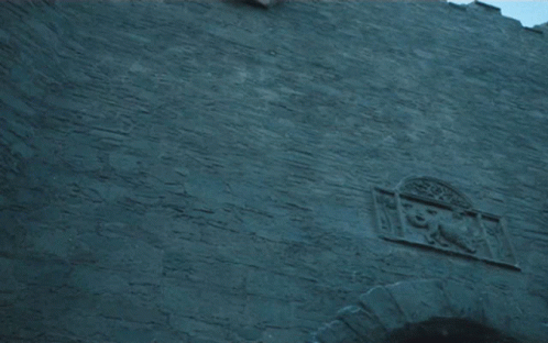 Seshiva Stark GIF