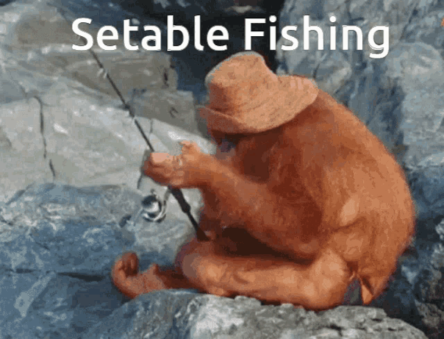 Setable Fishing GIF
