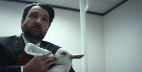Severence Feeding Baby Goats GIF