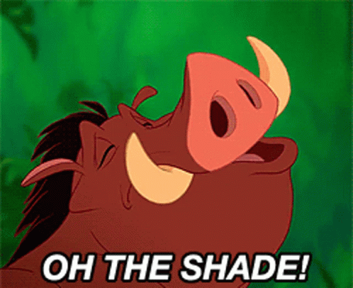 Shade Shaded GIF