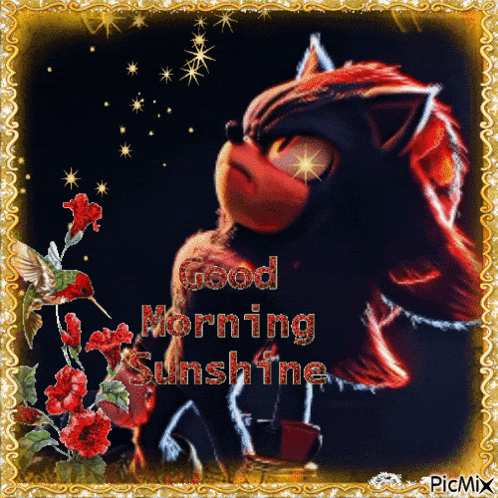 Shadow The Hedgehog Good Morning GIF