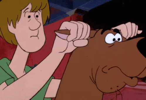 Shaggy Scooby Doo GIF