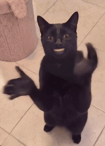 Shake My Hand Shake Hand GIF