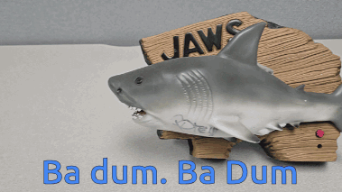 Shark Jaws GIF