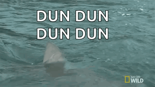 Shark Shark Fest GIF