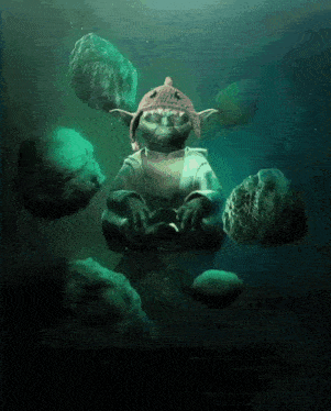 Sharkcat Memecoin GIF