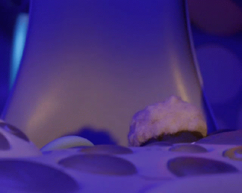 Shaun The Sheep Farmageddon GIF