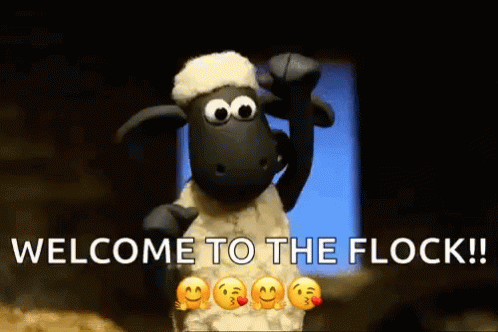 Shaun The Sheep Stop Motion GIF
