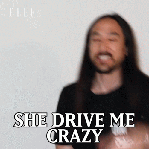 She Drive Me Crazy Steve Aoki GIF