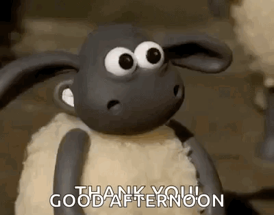 Sheep Thumbsup GIF