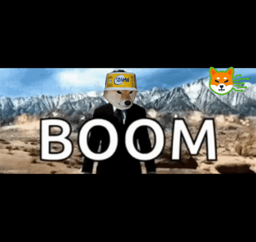Shib Shibarium GIF