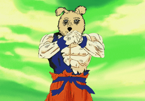 Shibussy Meme GIF