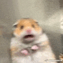Shock In Shock Meme