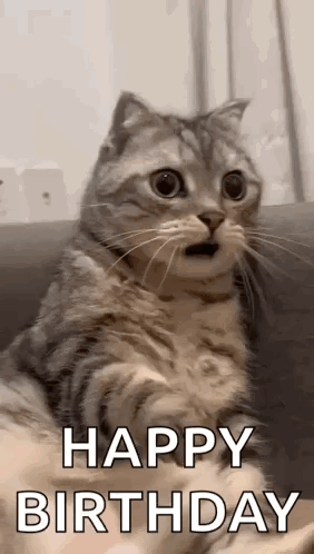 Shocked Surprised GIF