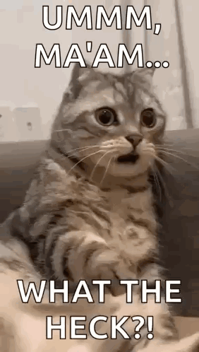 Shocked Surprised GIF