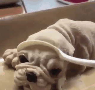 Shocked GIF