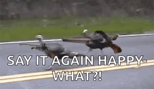 Shoot Turkey GIF