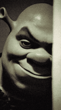 Shrek Shrek Meme GIF