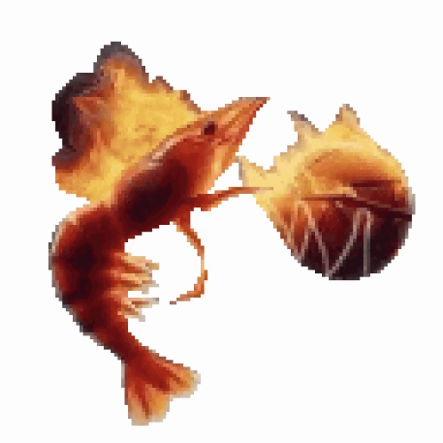 Shrimp Balling GIF