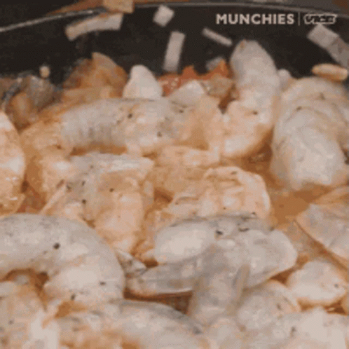 Shrimp GIF