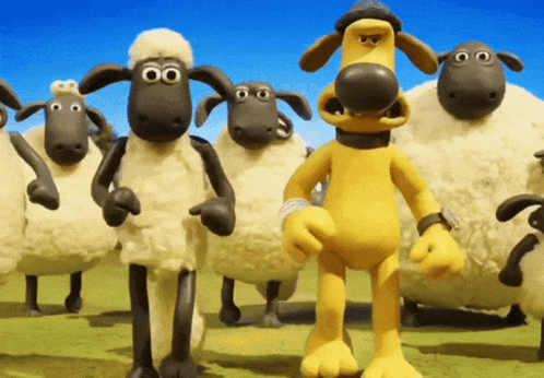 Shuan Sheep GIF