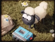 Shuan The Sheep Recording GIF